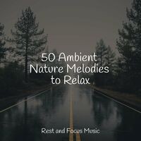 50 Ambient Nature Melodies to Relax