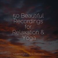50 Beautiful Recordings for Relaxation & Yoga