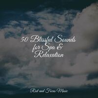 50 Blissful Sounds for Spa & Relaxation