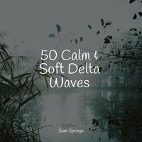 50 Calm & Soft Delta Waves