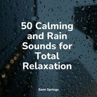 50 Calming and Rain Sounds for Total Relaxation