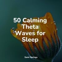 50 Calming Theta Waves for Sleep