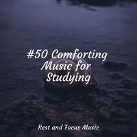 #50 Comforting Music for Studying