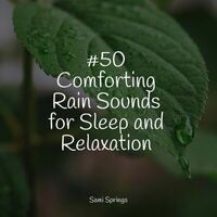 #50 Comforting Rain Sounds for Sleep and Relaxation