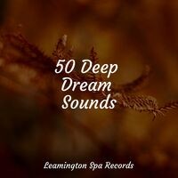 50 Deep Dream Sounds