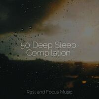 50 Deep Sleep Compilation