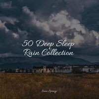 50 Deep Sleep Rain Collection