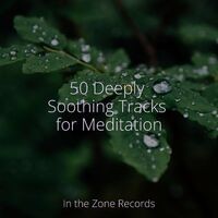 50 Deeply Soothing Tracks for Meditation