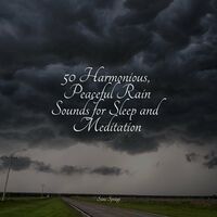 50 Harmonious, Peaceful Rain Sounds for Sleep and Meditation