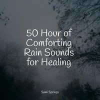 50 Hour of Comforting Rain Sounds for Healing