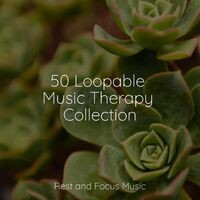 50 Loopable Music Therapy Collection