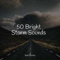 50 Loopable Rain Sounds for Ultimate Relaxation