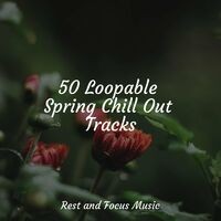 50 Loopable Spring Chill Out Tracks