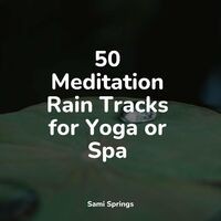 50 Meditation Rain Tracks for Yoga or Spa