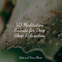 50 Meditation Sounds for Deep Sleep Relaxation