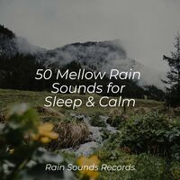 50 Mellow Rain Sounds for Sleep & Calm
