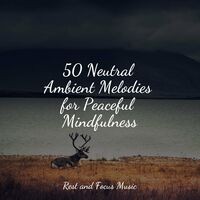 50 Neutral Ambient Melodies for Peaceful Mindfulness