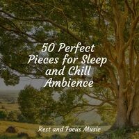 50 Perfect Pieces for Sleep and Chill Ambience
