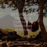 50 Pistas Para La Paz, La Calma Y La Serenidad Absolutas