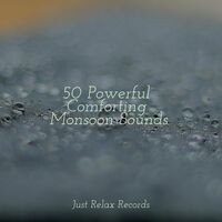 50 Powerful Comforting Monsoon Sounds