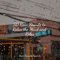 50 Rain Sounds to Relax the Mind and Relax