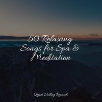 50 Relaxing Songs for Spa & Meditation