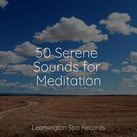 50 Serene Sounds for Meditation
