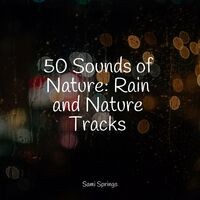 50 Sounds of Nature: Rain and Nature Tracks