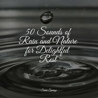 50 Sounds of Rain and Nature for Delightful Rest
