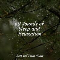 50 Sounds of Sleep and Relaxation