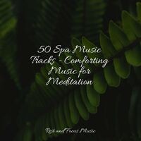50 Spa Music Tracks - Comforting Music for Meditation