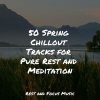 50 Spring Chillout Tracks for Pure Rest and Meditation