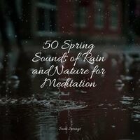 50 Spring Sounds of Rain and Nature for Meditation