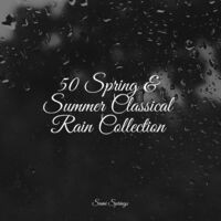 50 Spring & Summer Classical Rain Collection