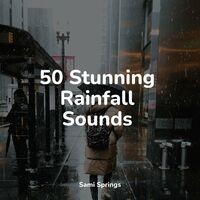 50 Stunning Rainfall Sounds