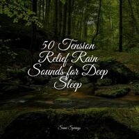 50 Tension Relief Rain Sounds for Deep Sleep
