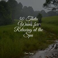 50 Theta Waves for Relaxing at the Spa