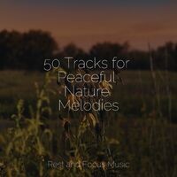 50 Tracks for Peaceful Nature Melodies