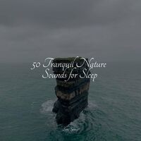 50 Tranquil Nature Sounds for Sleep