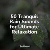 50 Tranquil Rain Sounds for Ultimate Relaxation