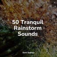 50 Tranquil Rainstorm Sounds