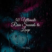 50 Ultimate Rain Sounds to Loop