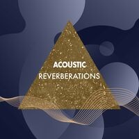 Acoustic Reverberations