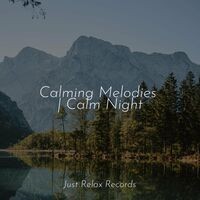 Calming Melodies | Calm Night