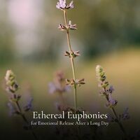 Ethereal Euphonies for Emotional Release After a Long Day
