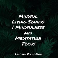 Mindful Living Sounds | Mindfulness and Meditation Focus