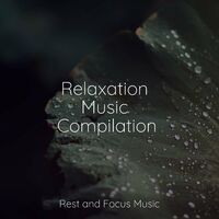 Relaxation Music Compilation