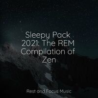 Sleepy Pack 2021: The REM Compilation of Zen