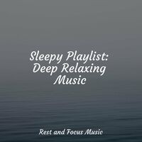 Sleepy Playlist: Deep Relaxing Music