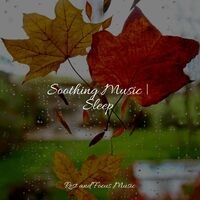 Soothing Music | Sleep